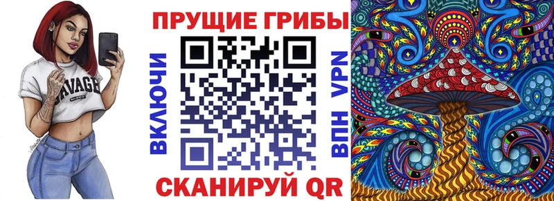 Псилоцибиновые грибы мицелий Купить Чудово